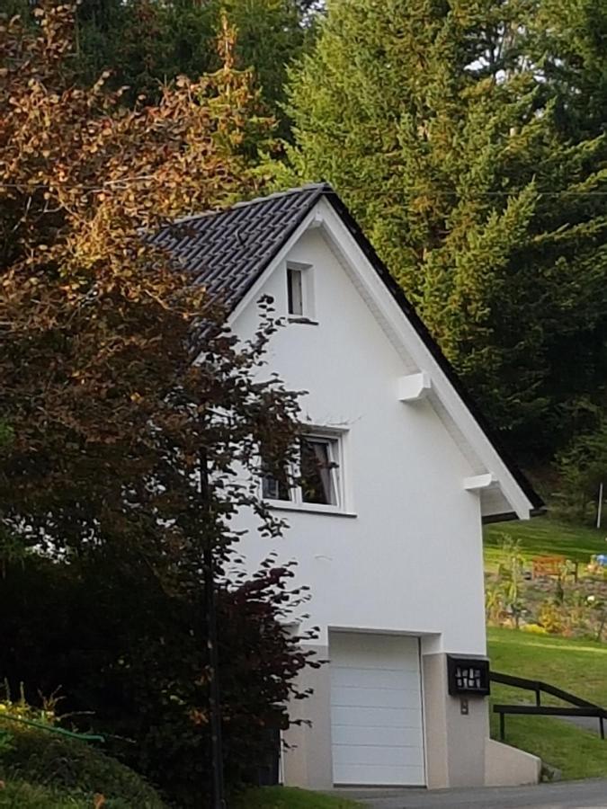 Ferienhaus Am Ruhberg 빈터베르크 외부 사진